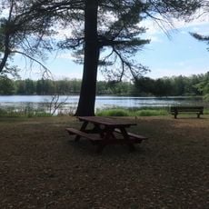 Lake Elinor