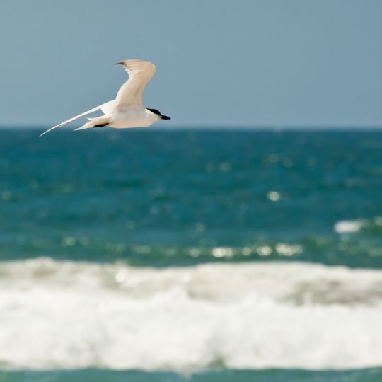 Tijuana Slough National Wildlife Refuge