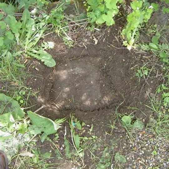 Milestone, Dares Farm; W of junction with Dora's Lane