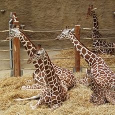 Duisburg Zoo