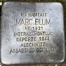 Marc Blum