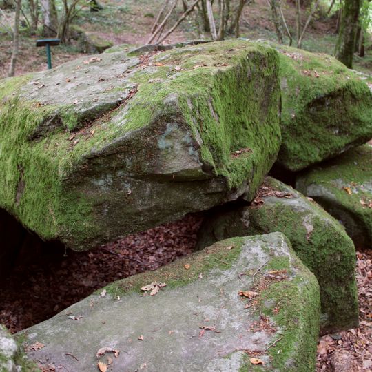Dolmen de la Contrie