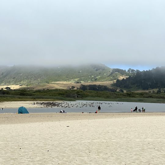 Carmel River State Beach