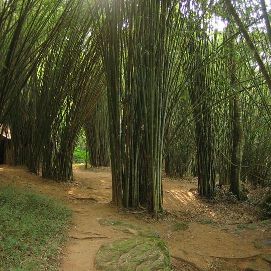 Parc national de Nam Nao