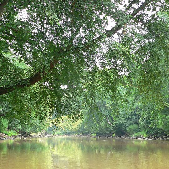 Neuse River