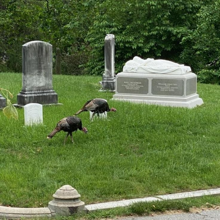 Swan Point Cemetery