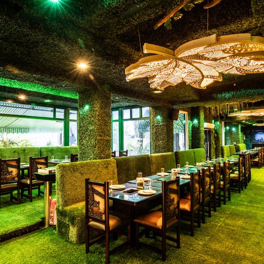 Jungle Jamboree Lajpat Nagar