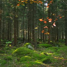 Parc national de Färnebofjärden