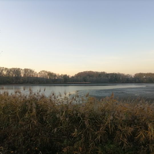 Troskotovický dolní rybník