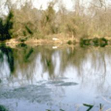Watercress Darter National Wildlife Refuge