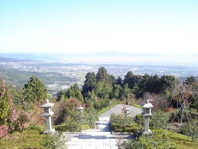 The view 0