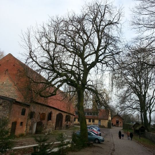 Naturdenkmal Kastanie