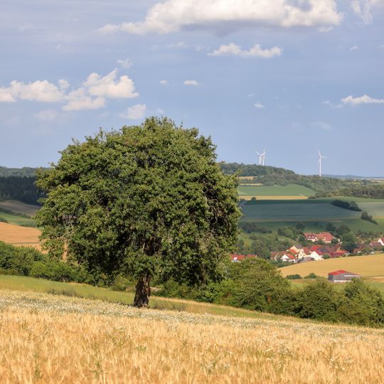 1 Birnbaum im Gewann „Höheäcker“