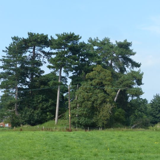 Bowl barrow 120m north-east of Rose Farm