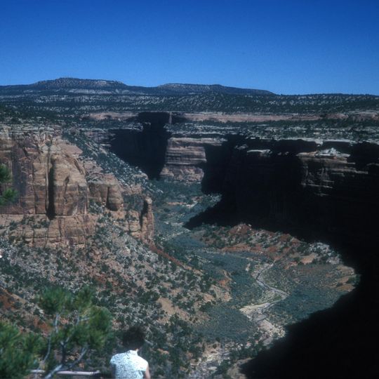 Ute Canyon