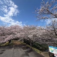 丸山公園