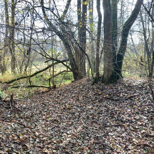 Rýžoviště - sejpy