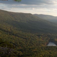 Talladega National Forest