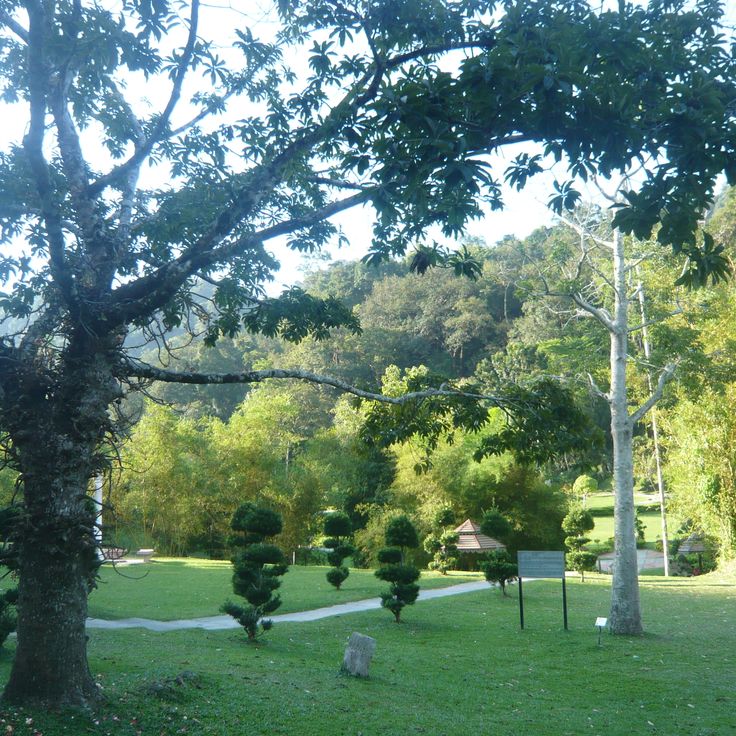 Orto Botanico di Penang