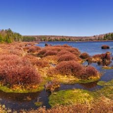 Black Moshannon State Park