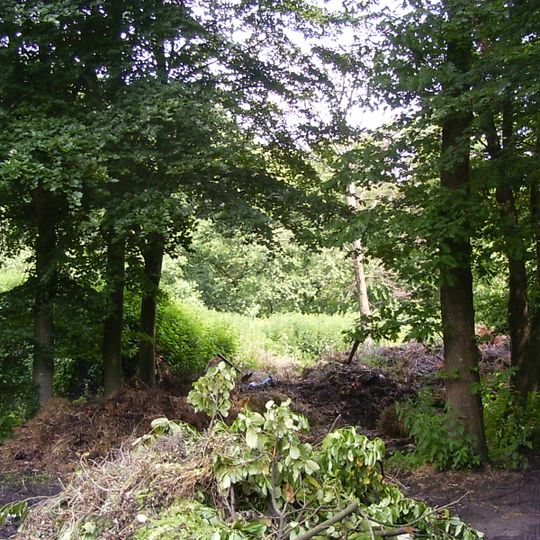 Terrein waarin drie grafheuvels