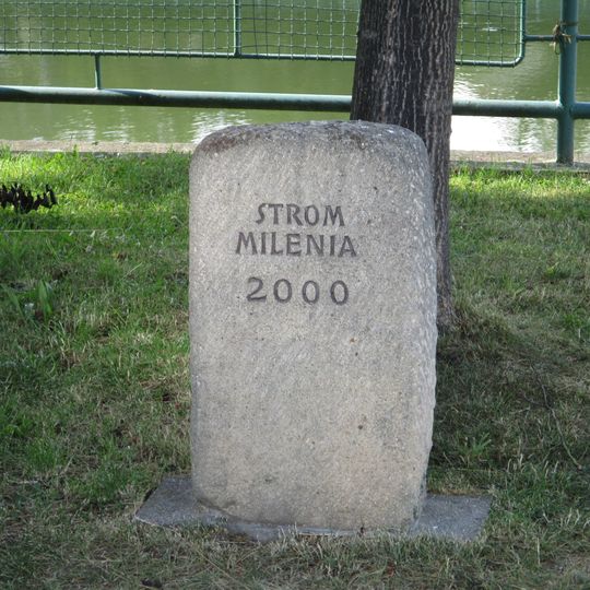 Památník v Druztové