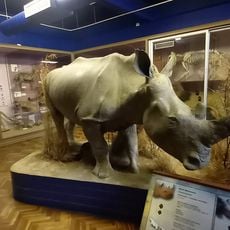 National Museum, Bloemfontein