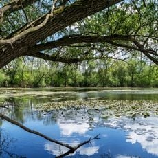 Naturschutzgebiet Teich am Braunshardter Tännchen