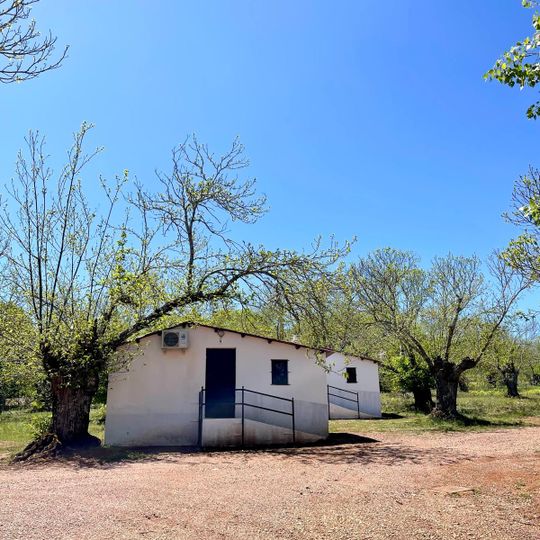 El Madroñal