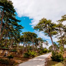 Çamlıca Tabiat Parkı