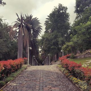 Jardín Histórico Botánico Atocha-La Liria
