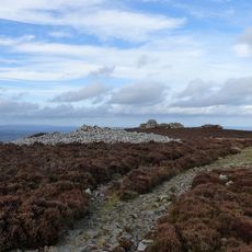 Round cairn on Stiperstones, 350m SSW of the Devil's Chair