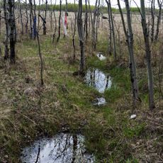 Flee Island Dakota Entrenchment