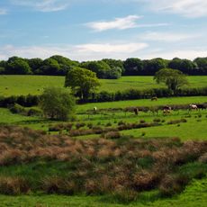 Combe Valley Countryside Park