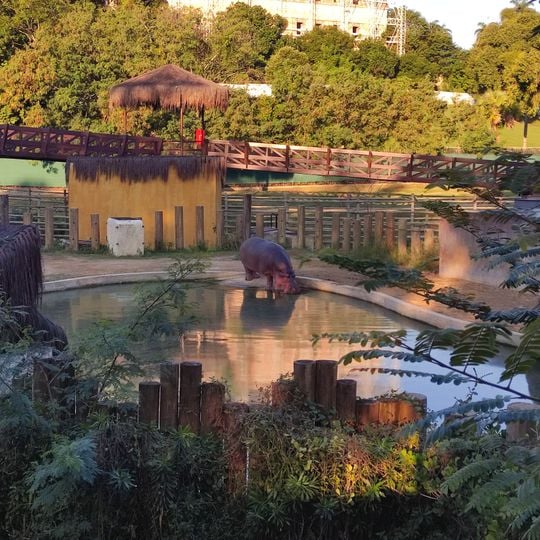 Aquário da Quinta da Boa Vista