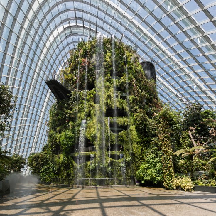 Cloud Forest Dome