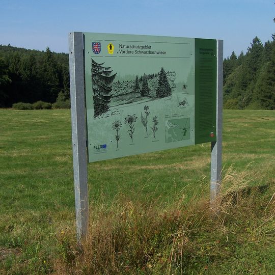 Vordere Schwarzbachwiese