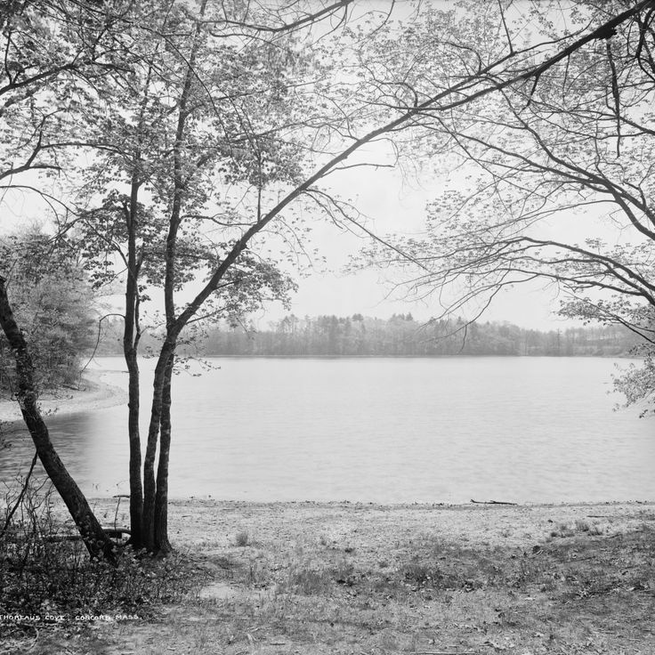 Walden Pond