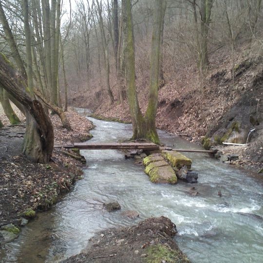 Lávka k prameni u Havlíčkova mlýna