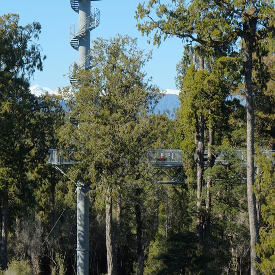 West Coast Treetop Walk
