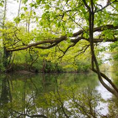 Kinzigaue bei Gelnhausen