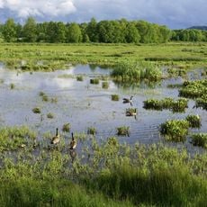 Billy Frank Jr. Nisqually National Wildlife Refuge