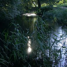 Château de Shinfujo