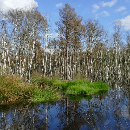 Altwarmbüchener Moor