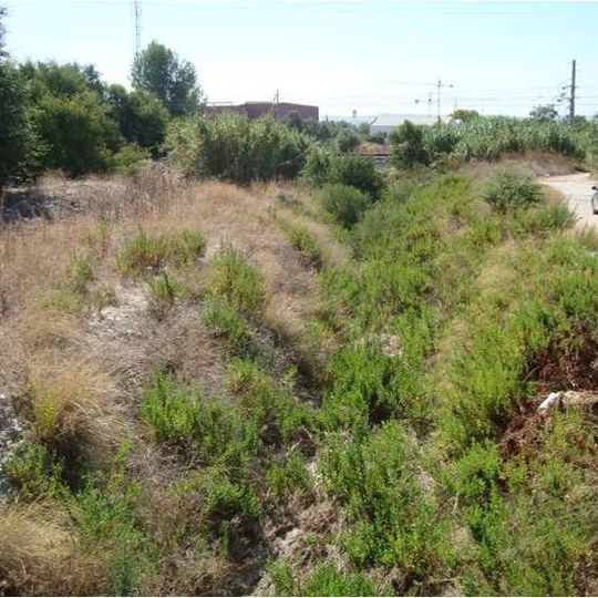 Arroyo de la Cañada Ancha