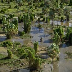 Río Pilcomayo National Park