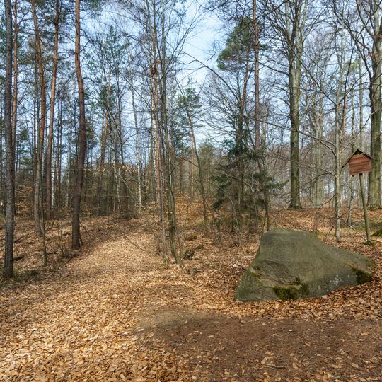 Glacial erratic rock near Hospitalhütte Dahlen