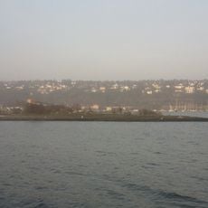 Selskjær