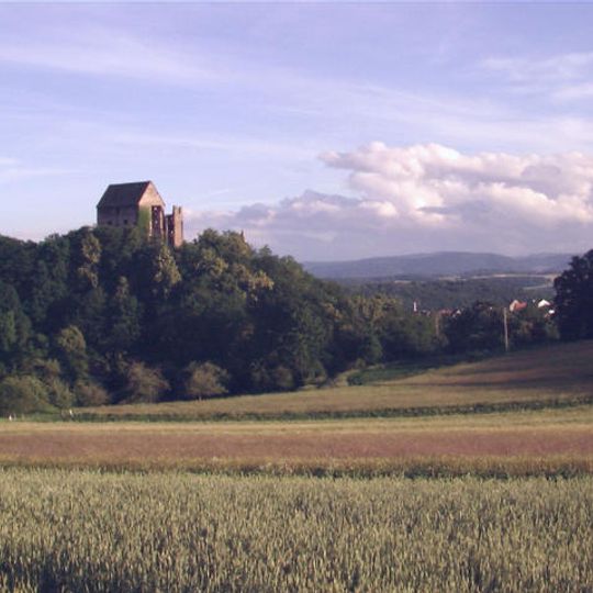 Świny Castle