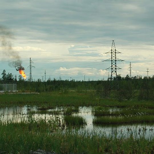 Nižnevartovskij rajon